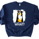 Australian Shepherd - What Dog Sweater