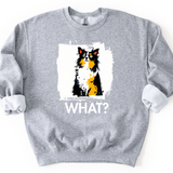 Papillon - What Dog Sweater