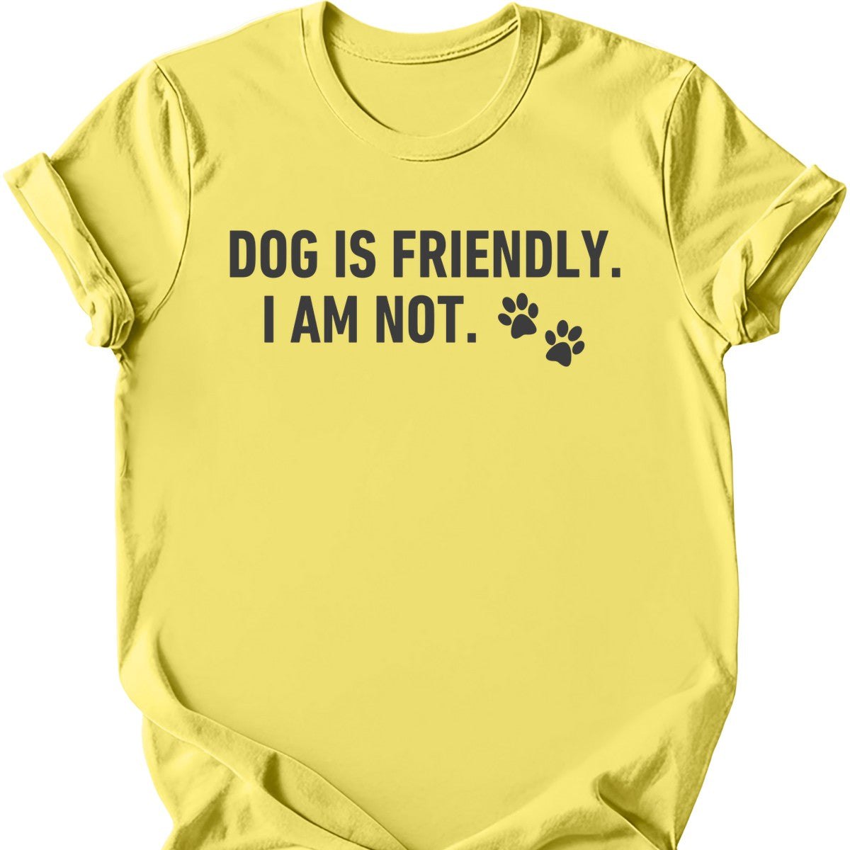 Dog Is Friendly I Am Not T-Shirt