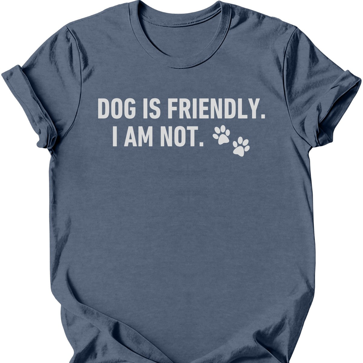 Dog Is Friendly I Am Not T-Shirt