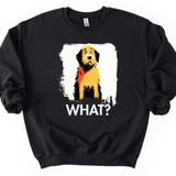 Labradoodle - What Dog Sweater
