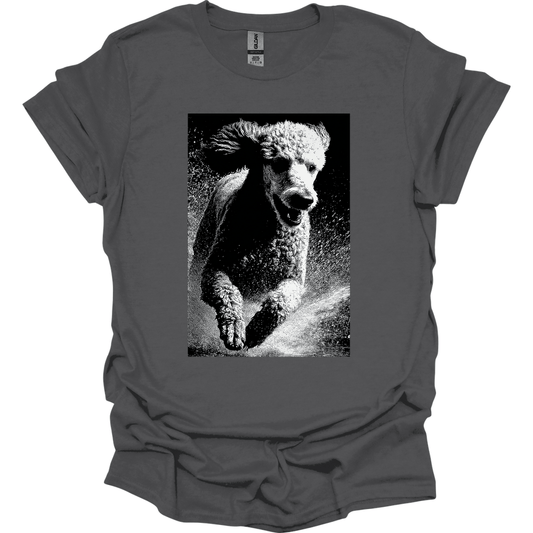Poodle - Puddle Dog T-Shirt - Charcoal