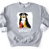 Bernese Mountain Dog - What Dog Sweater