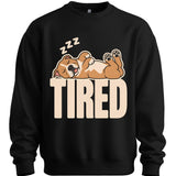 American Staffordshire Terrier - Tired Dog Sweater