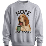 Bracco Italiano - Not Today Sweater