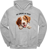 Brittany - Did Someone Say Treat Hoodie