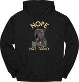 Cane Corso - Not Today Hoodie