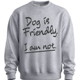 Friendly Sweater