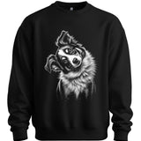 Miniature American Shepherd - Tilted Dog Sweater