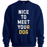 Nice To Meet You Sweater