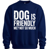 Not So Much Sweater