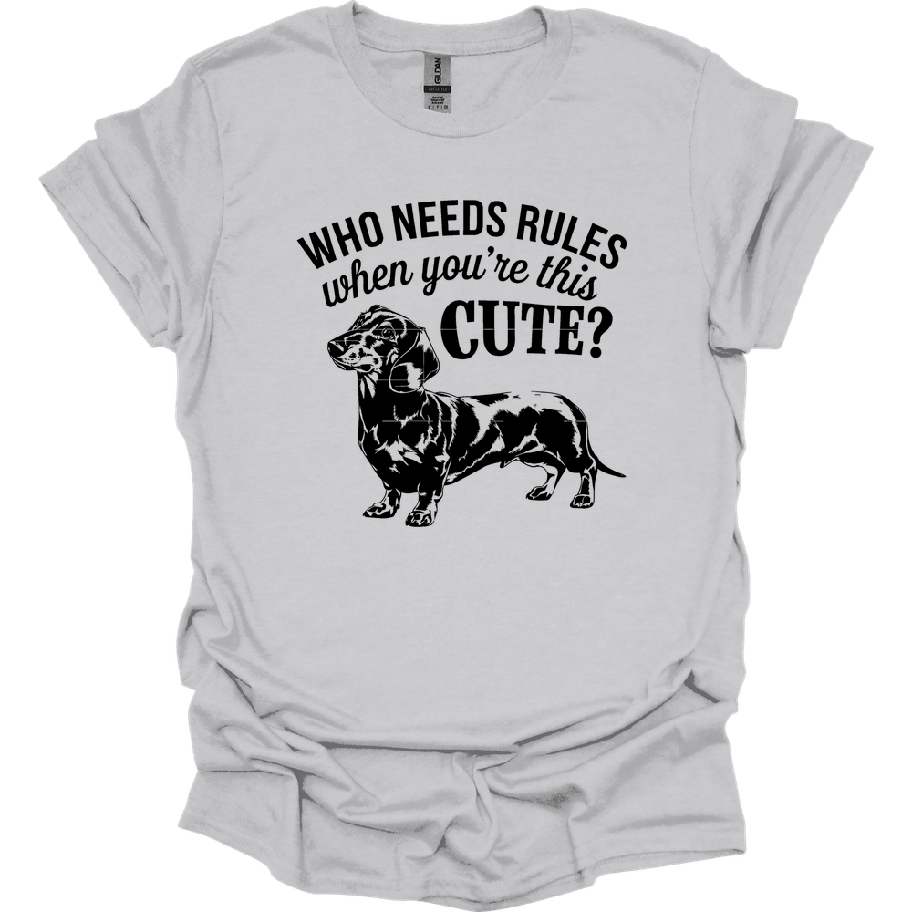sassy dachshund 18 shirt ice grey