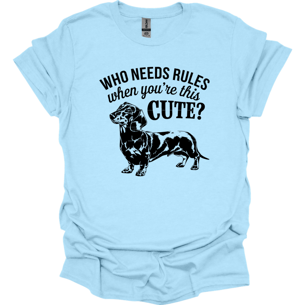 sassy dachshund 18 shirt light blue