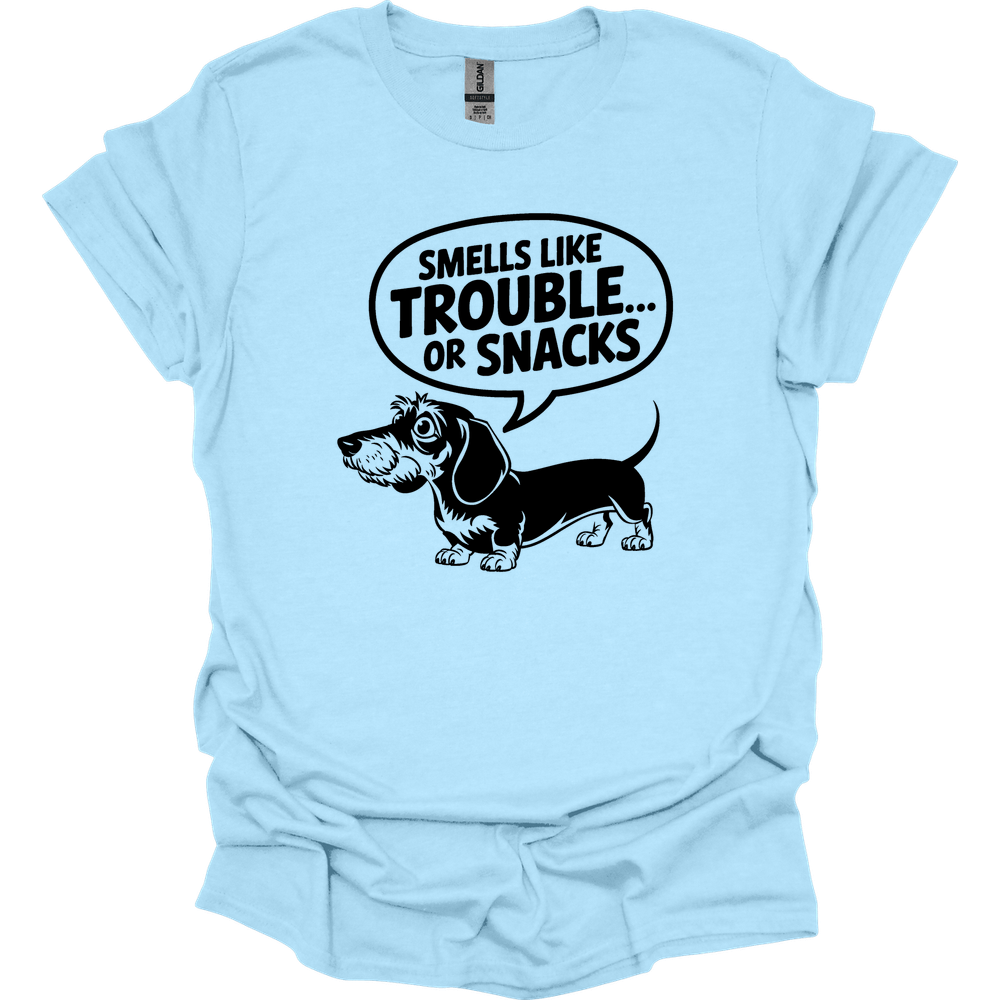 sassy dachshund 24 shirt light blue