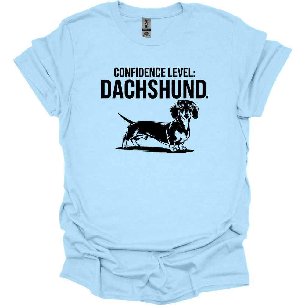 sassy dachshund 29 shirt light blue