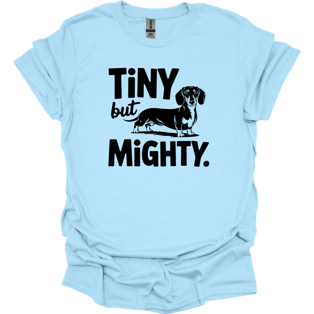 sassy dachshund 52 shirt light blue