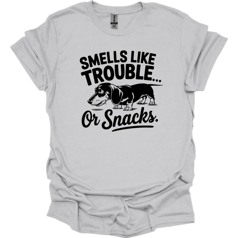 sassy dachshund 60 shirt ice grey