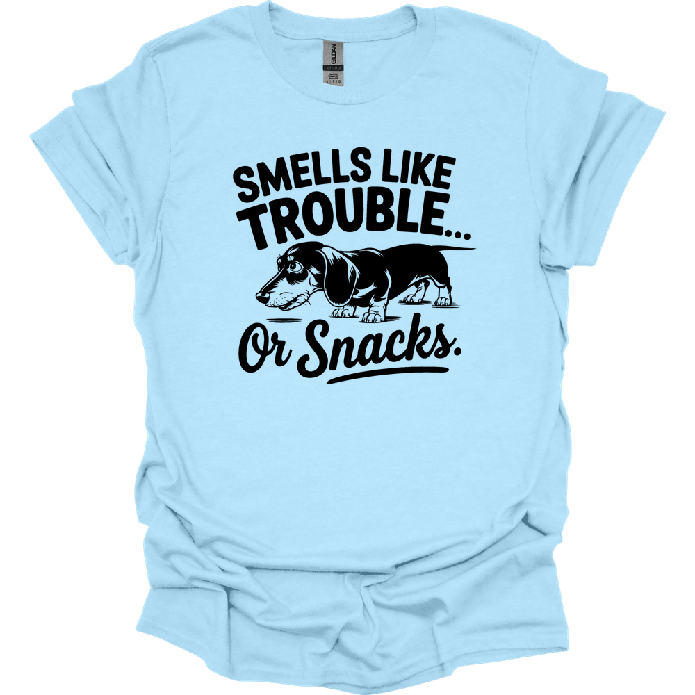 sassy dachshund 60 shirt light blue