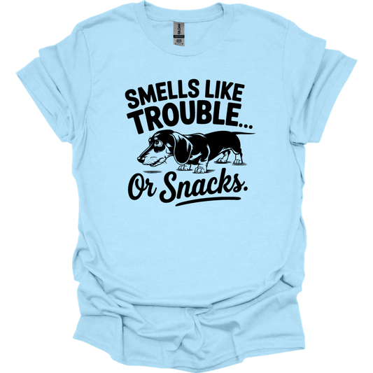sassy dachshund 60 shirt light blue