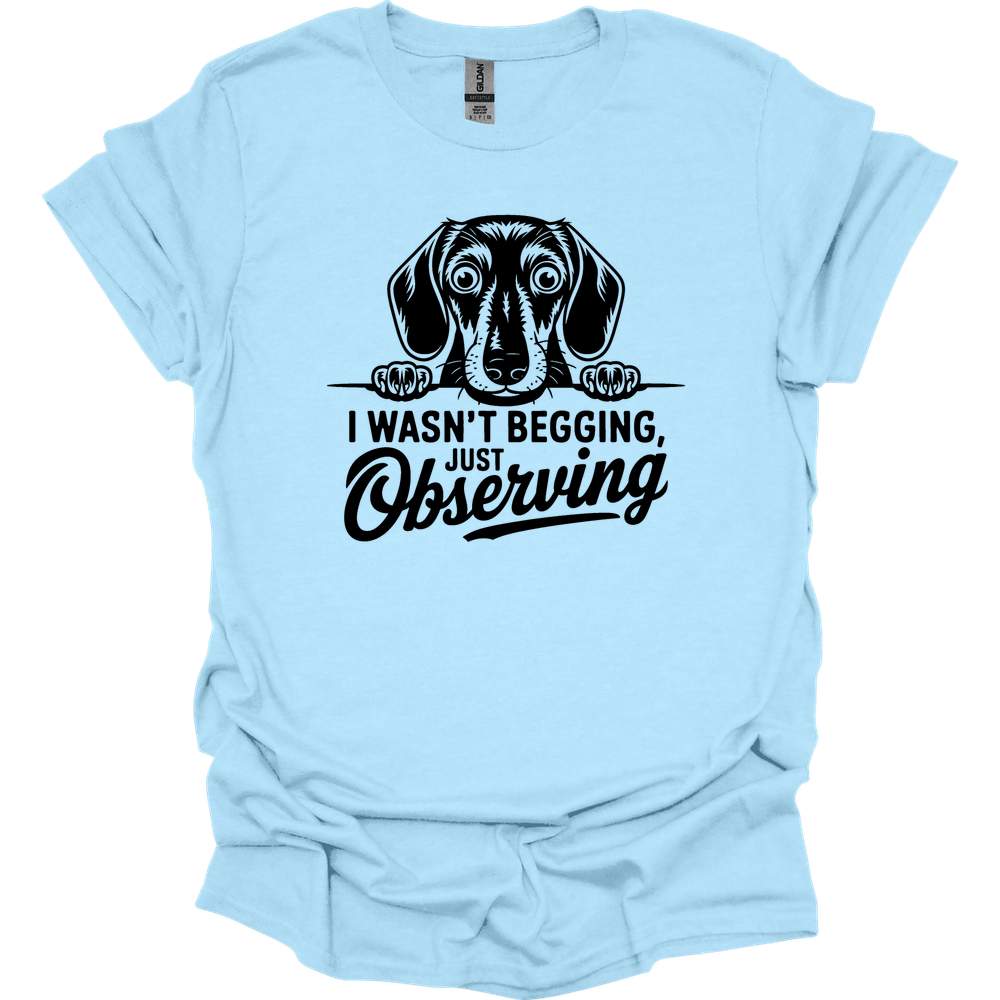 sassy dachshund 61 shirt light blue