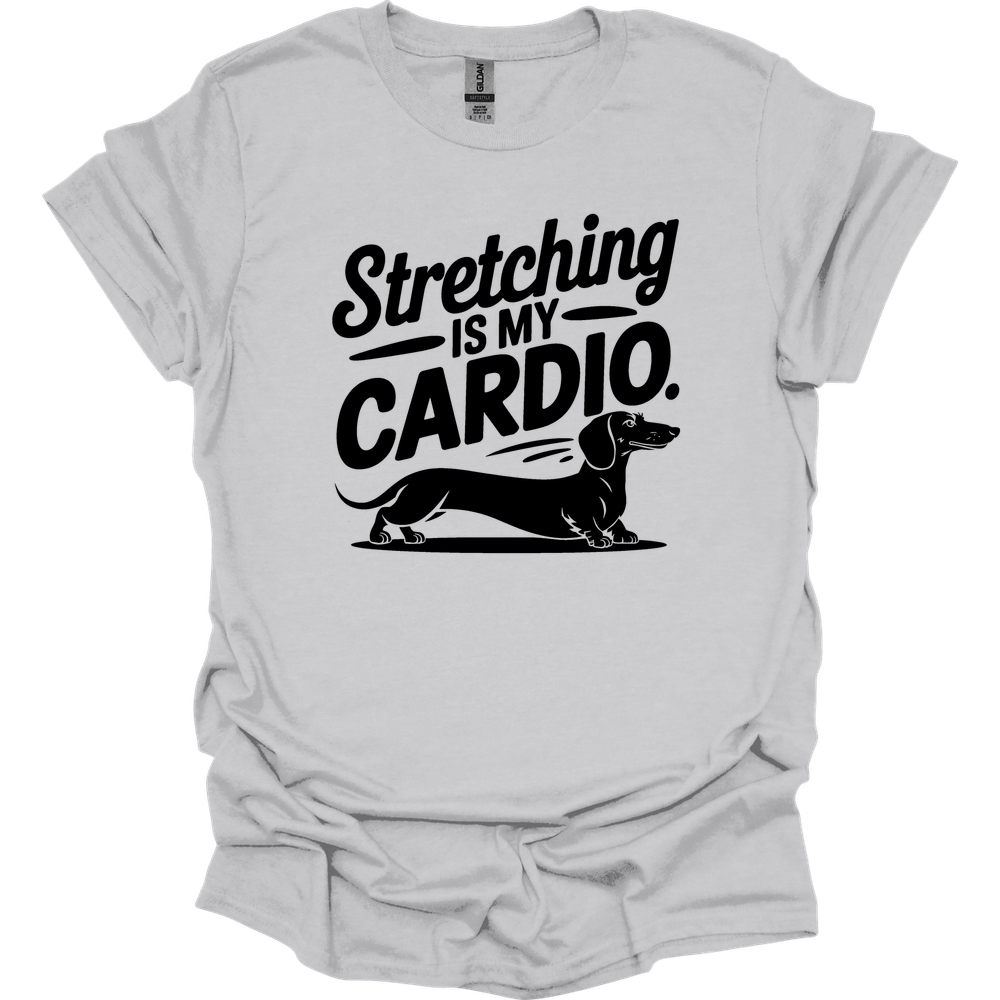 sassy dachshund 62 shirt ice grey