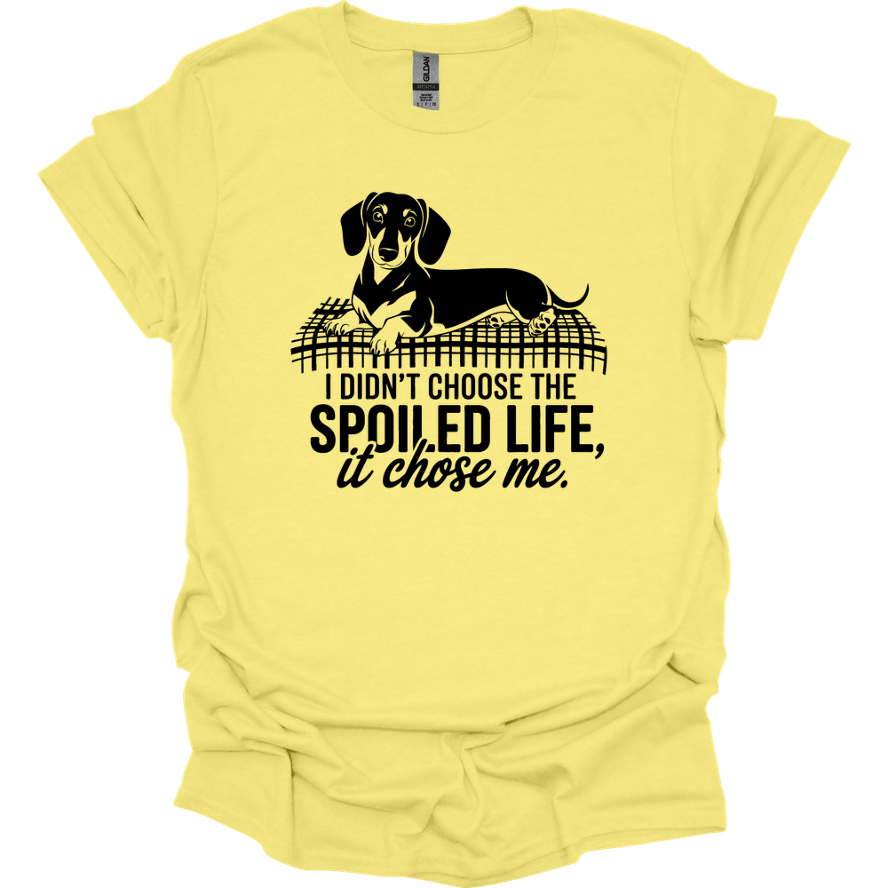 sassy dachshund 74 shirt cornsilk