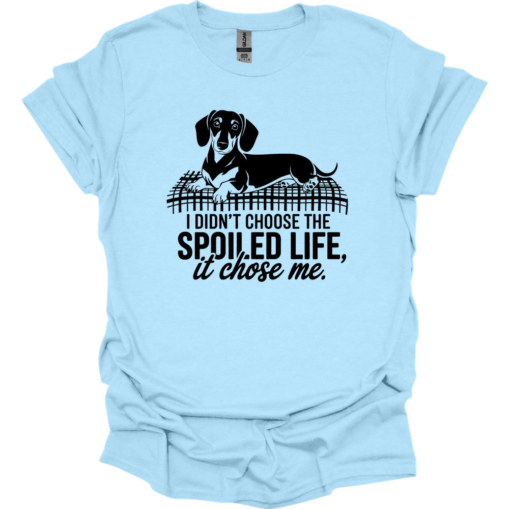 sassy dachshund 74 shirt light blue