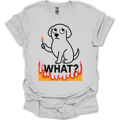 What Match T-Shirt